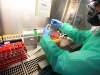 Il virus che circola dalle nostre parti ‘cambia’ poco e viene dal Nord