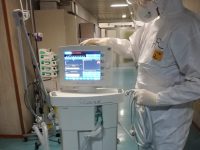 «Restano coscienti, li curiamo come familiari: non si vede ma mi emoziono anche io…»