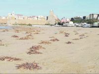 Lidi balneari liberi per la manutenzione