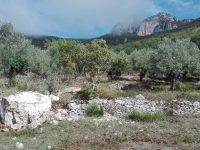 Venafro, beccato a lucidare l’auto al lavatoio il giorno di Pasqua: sanzionato