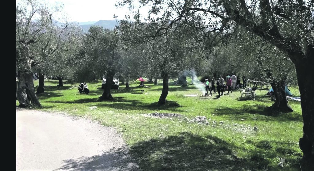 ‘Cummit’, Campaglione off limits: Ricci ordina il divieto di circolazione