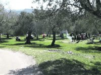 ‘Cummit’, Campaglione off limits: Ricci ordina il divieto di circolazione