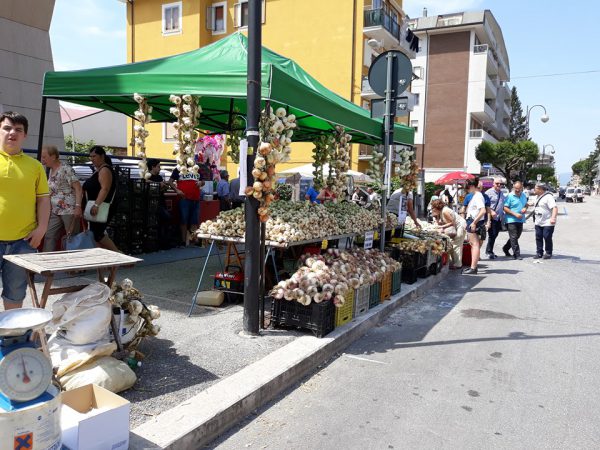 Emergenza sanitaria: il coronavirus cancella gli eventi più attesi a Isernia