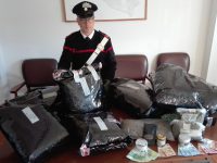 Campomarino, “colpo grosso” allo spaccio: sequestrati 21 chili di marijuana