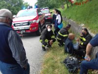 Vaga per tutta la notte nel bosco, anziano di Pietrabbondante trovato sano e salvo dai soccorritori