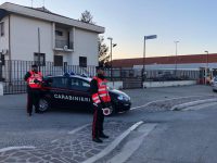 Termoli, coltivava in casa 44 piante di marijuana: arrestato