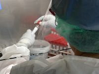 “Nessuna nuova buona nuova”: ancora zero contagi su 226 tamponi