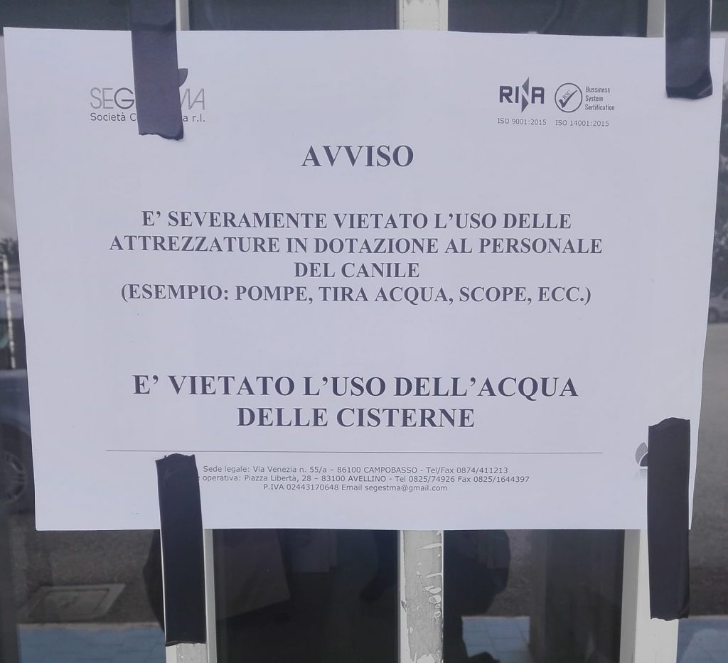 Canile di Campobasso, riesplode la polemica: ai volontari è vietato persino usare la scopa