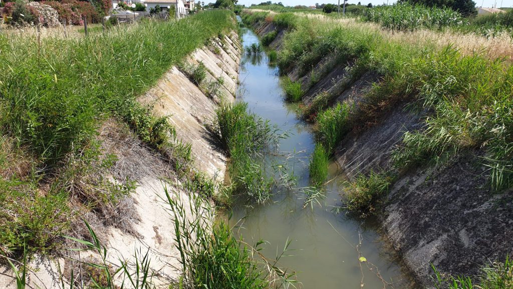 Termoli, degrado nei canali: «La Regione si muova»