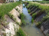 Termoli, degrado nei canali: «La Regione si muova»