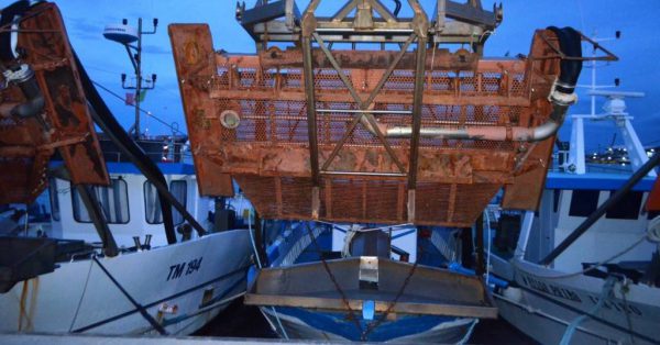 Fermo biologico, stop alla raccolta molluschi