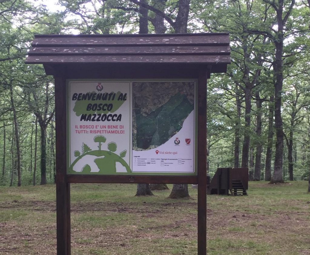Bosco Mazzocca, il Comune di Riccia: «Il nostro patrimonio di biodiversità»
