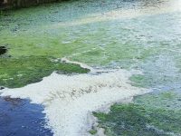 Schiuma nel Rava, sversamenti notturni illeciti nel torrente