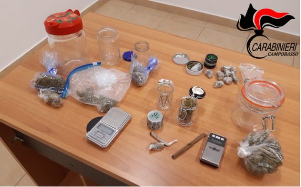 Beccati con bilancini, trita erba e spinelli pronti all’uso: due 18enni di Ripalimosani in manette