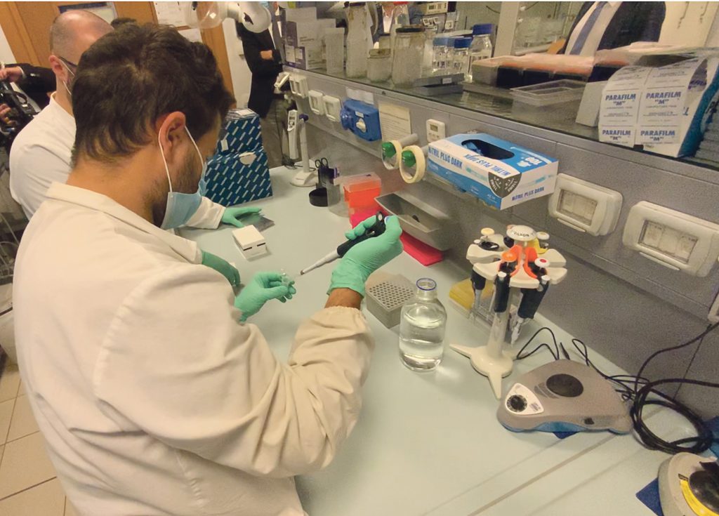 Paura per il cluster parrocchiale, ma il Cardarelli torna Covid free