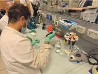 Paura per il cluster parrocchiale, ma il Cardarelli torna Covid free