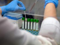 Cluster di Roccamonfina, paura nel Venafrano