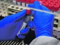 Campobasso, quattro contagi in provincia: nuovo cluster di rientro dalla Croazia