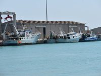 «Indennizzi e pandemia, la pesca è abbandonata»