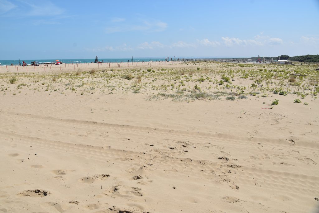 Campomarino, si sente male sulla spiaggia libera: muore un 84enne