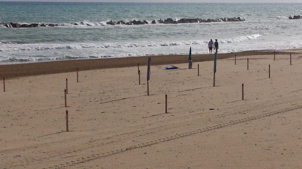 Stop ai furbetti dell’arenile, sequestrati 40 ombrelloni