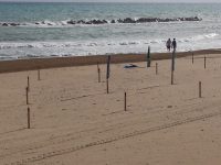 Stop ai furbetti dell’arenile, sequestrati 40 ombrelloni