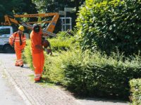 Senza stipendio da mesi, arriva la ‘tegola’ dell’Inps: i dati immessi sono errati