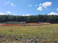 «Bosco Corundoli è in serio pericolo»