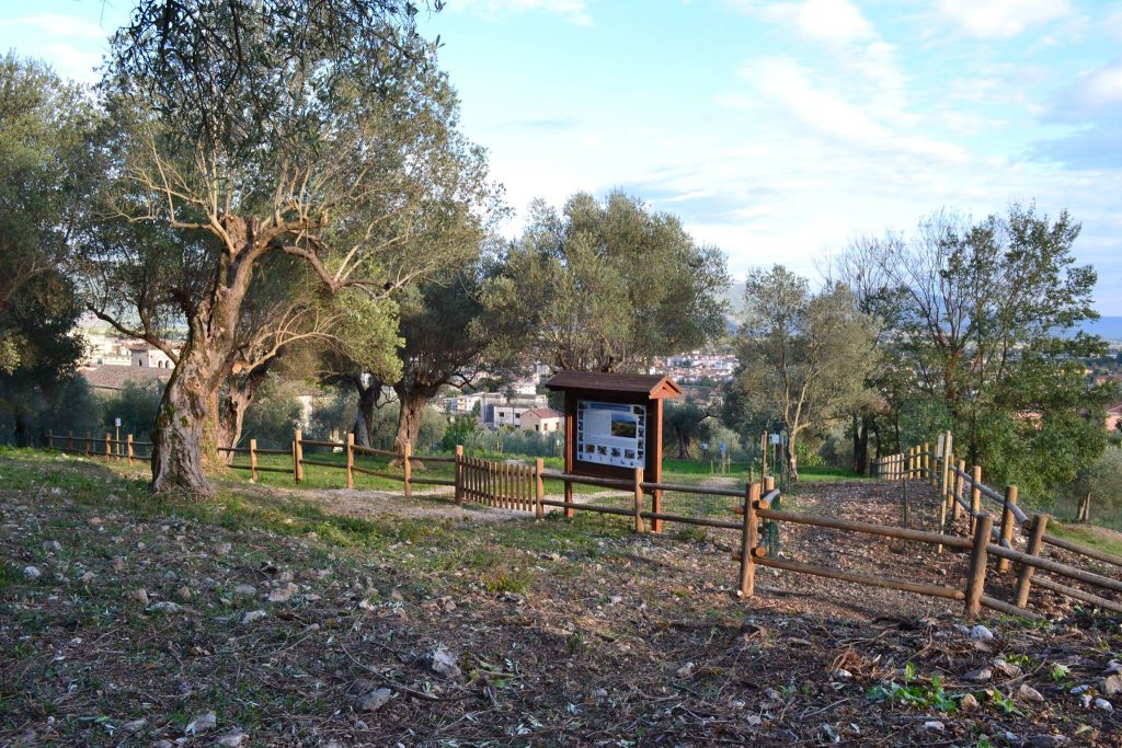 Venafro, Parco dell’Olivo a rischio: Città Nuova tuona contro la Regione