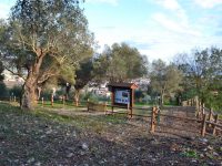Venafro, Parco dell’Olivo a rischio: Città Nuova tuona contro la Regione