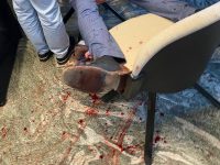 Follia in banca a Gambatesa, resta in carcere il dipendente che ha accoltellato il vicedirettore