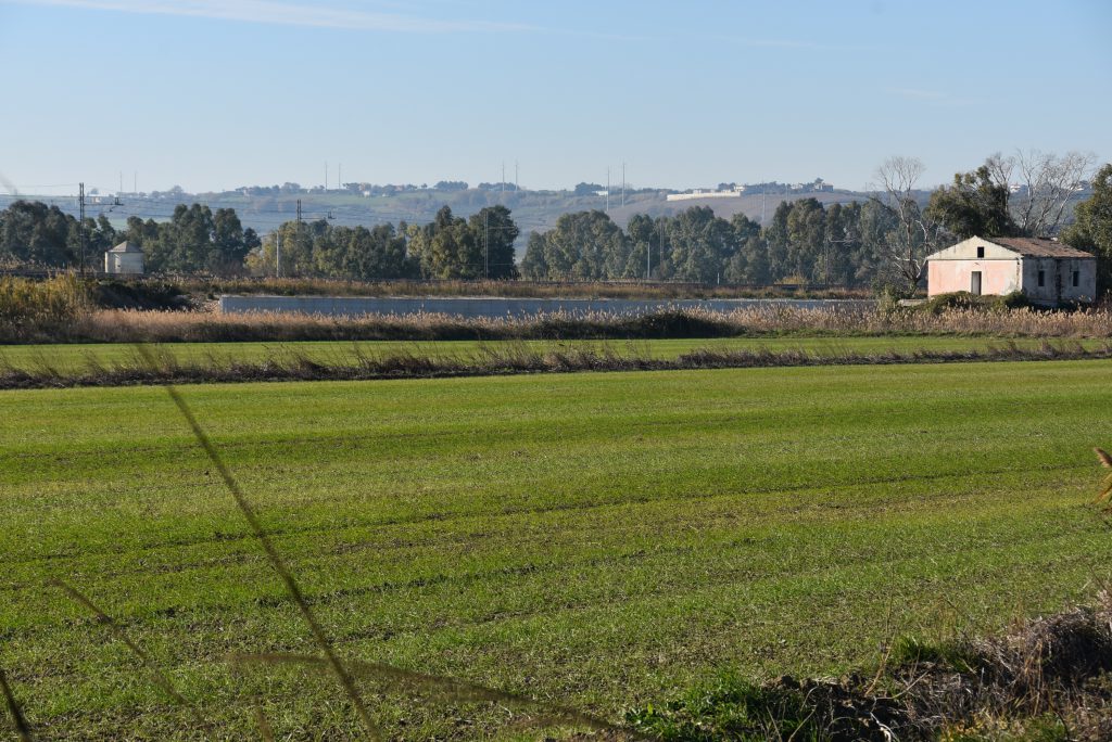 Ex interporto: terreni in vendita a 8,7 milioni