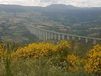 Lavori agli sgoccioli, nuova vita per il viadotto Verrino