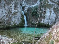 Dissesto, la sentenza genera dubbi sui debiti