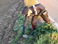 Rotello, a spasso con la droga: in cella padre e figlio