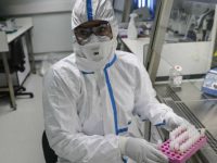 Boom di guariti: sono 272