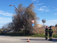 Sulla costa alberi caduti e lampioni piegati dal forte vento