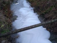 Sversamenti illeciti, blitz dei Forestali: sigilli a un’azienda del Nucleo industriale di Pozzilli