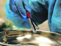 A nurse holds screw cap tubes after performing blood samples on an urban policeman, as part of a serological test for COVID-19 on May 6, 2020 at the Capitoline Hill (Campidoglio) municipal building in Rome, during the country's lockdown aimed at curbing the spread of the COVID-19 infection, caused by the novel coronavirus. (Photo by Vincenzo PINTO / AFP)