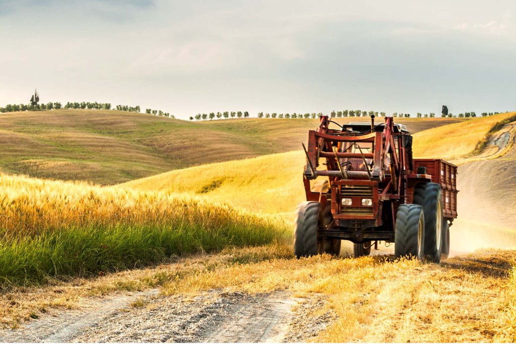 Agricoltura senza ristori Covid, la Cia attacca