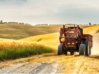 Agricoltura senza ristori Covid, la Cia attacca