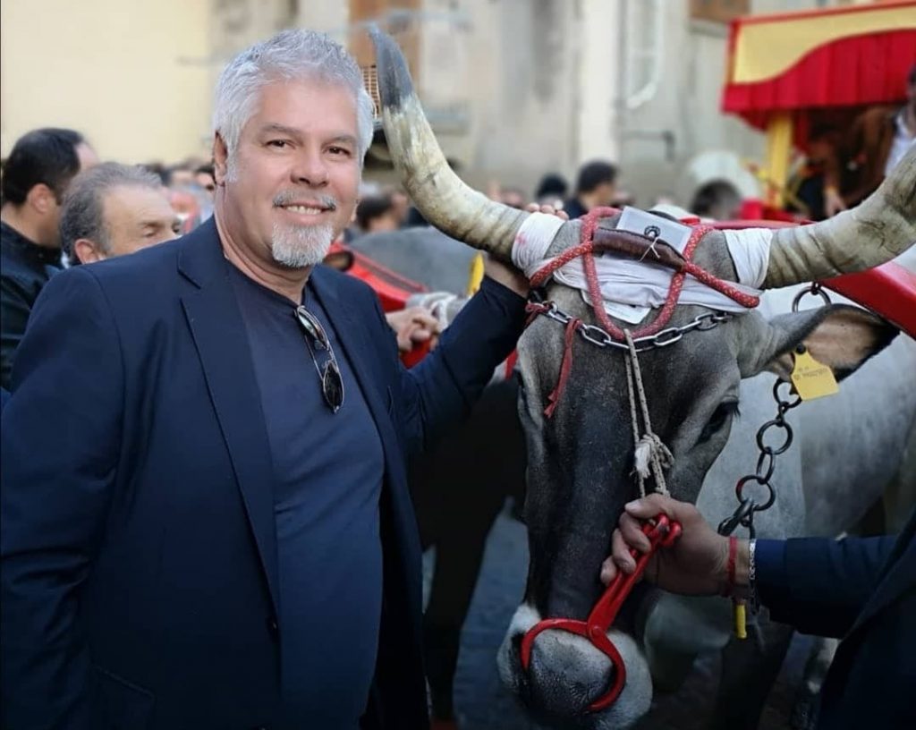San Martino in Pensilis: gli appassionati dicono addio a Diamante, era il fuoriclasse dei buoi della Cerrese