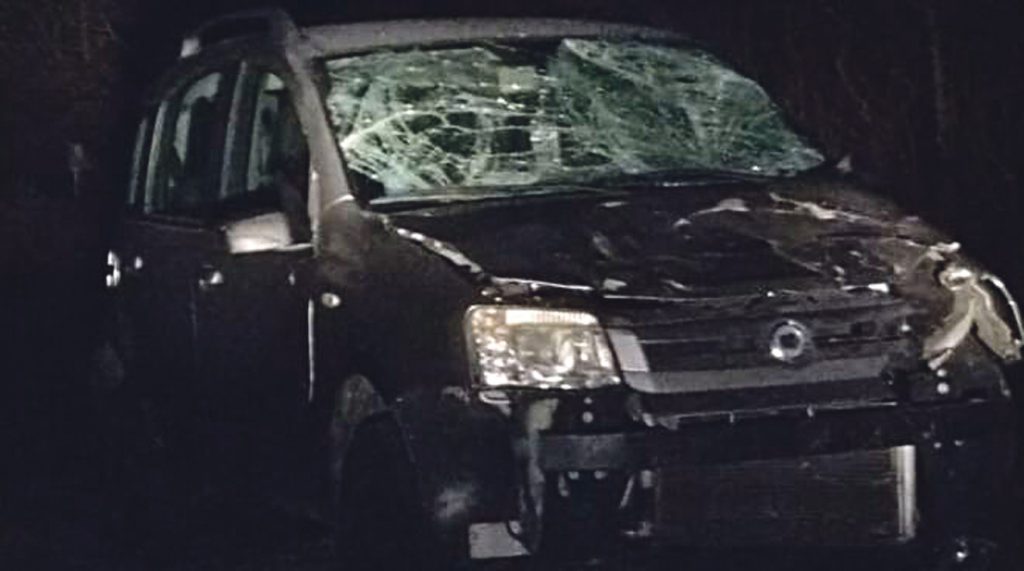 Investe con l’auto un cavallo pentro: l’animale abbattuto e il conducente in ospedale