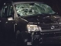 Investe con l’auto un cavallo pentro: l’animale abbattuto e il conducente in ospedale