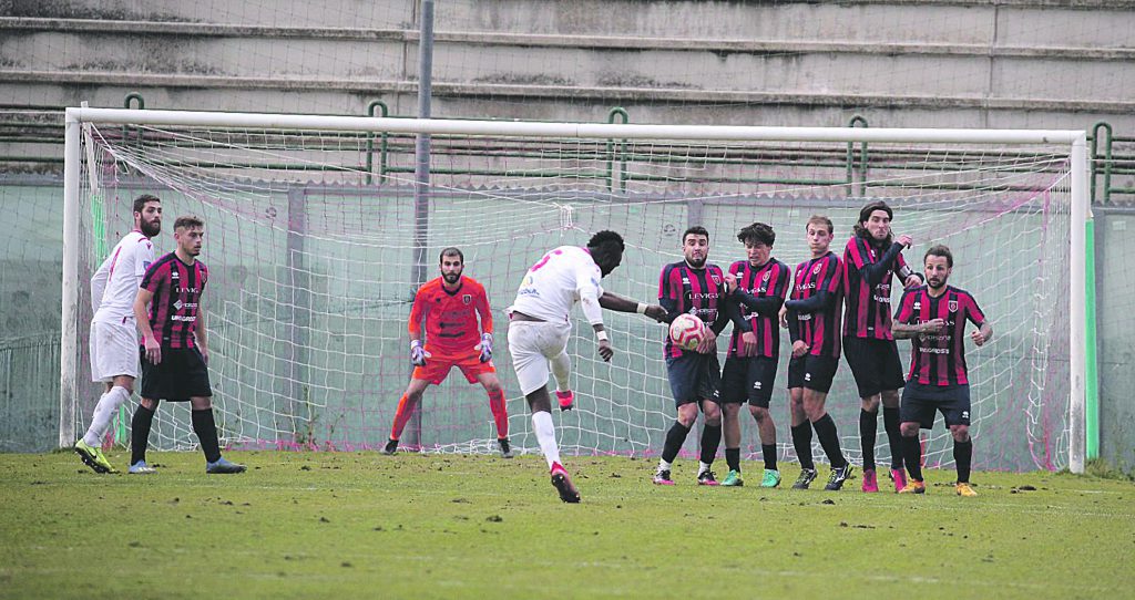 Lupi, successo gettato all’aria