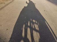 Campobasso, da quattro anni costretto su una sedia a rotelle: «Vi racconto il mio calvario»