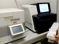 Variante in Molise, paura sul territorio: virus più aggressivo