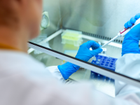 In Molise il virus è ‘made in Uk’, regione al top per la prevalenza: è al 93%