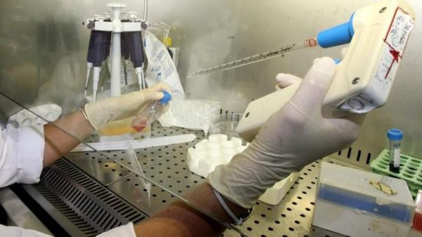 Covid, lo zooprofilattico conferma: accertata la presenza in Molise della “variante inglese”