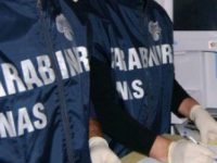 Turni massacranti in pronto soccorso, Nas in azione pure a Campobasso e Termoli